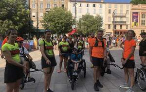 GEM Api Poly ´Handi