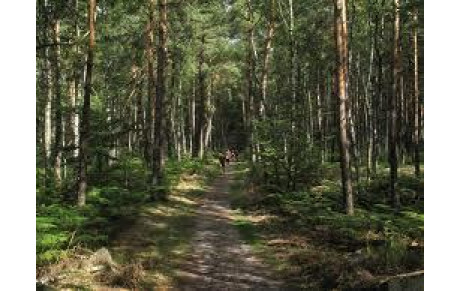 Réunion prépa trail CSB