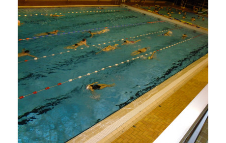 Entrainements Piscine